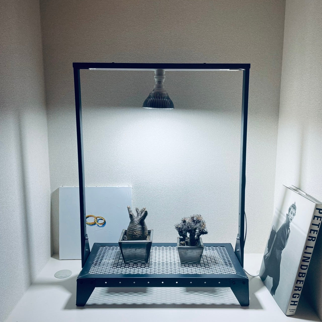 MILLS 植物ライトスタンド ブラック MILLS 植物ライトスタンド ブラック MILLS 植物ライトスタンド